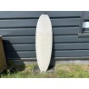 Fish Bic Surf 5'10